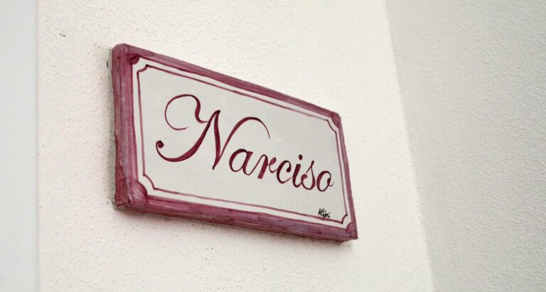 Narciso